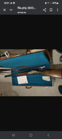 Cambio dos escopetas por una superpuesta de caza de mi interés que esté en el mismo estado que las mías.
Sarriugarte 00