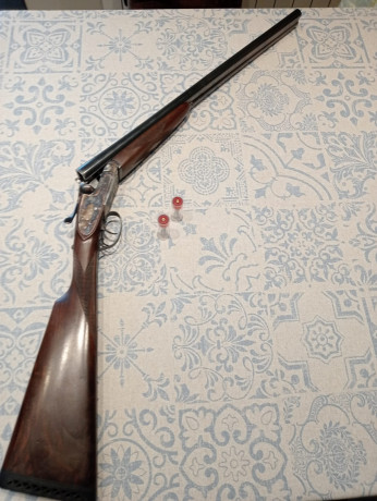 Cambio dos escopetas por una superpuesta de caza de mi interés que esté en el mismo estado que las mías.
Sarriugarte 11