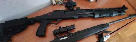 Busco escopeta corredera, Fabarm, Mossberg o Winchester. Cualquier oferta, podéis comunicármelo por privado. 60