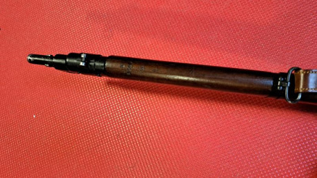 Rifle Enfield en calibre 303 british original
Lleva conmigo 35 años ,no ha disparado mas de 300 disparos 50