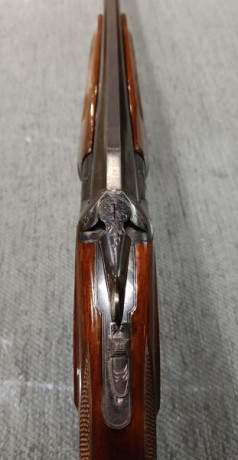 Se vende escopeta superpuesta marca Winchester, modelo 101 y calibre 12 GA.
Modelo mítico de escopeta 12