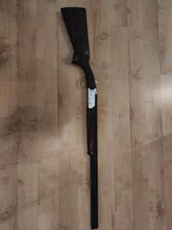 Vendo está superpuesta marca Krico.
Calibre 410 Magnum ,está seminueva. Con choques.
Se encuentra en Zaragoza 01