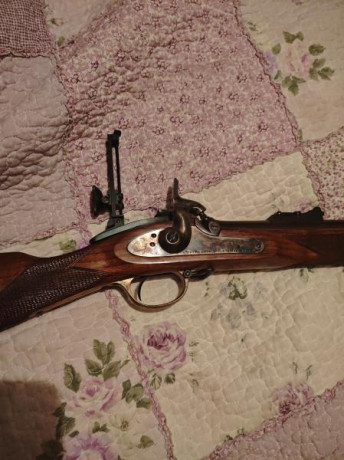 VENDO RIFLE Pedersoli whitworth calibre .451 con cañón hexagonal, diopter y túnel. Estado impecable del 01