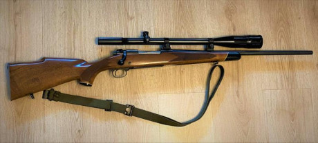 Pues eso. Busco una culata para ese modelo de rifle o alguna dirección donde poder adquirir una. Gracias. 51