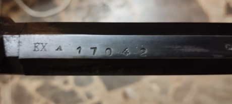 Vendo Carabina HAWKEN cal 50 Marca EX fabricado en España. 
Varios accesorios: 35 maxibalas y turquesa 32