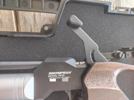 no la conozco, pero sinceramente tiene buena pinta, parece como una steyr y por los precios que la he 01