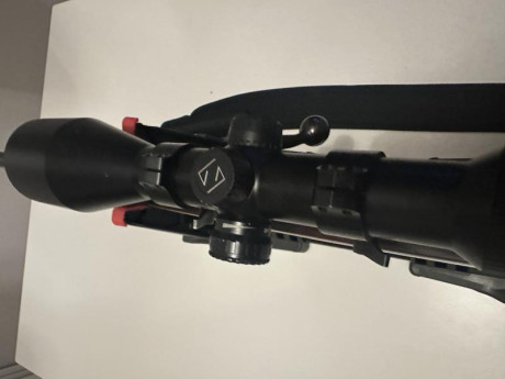 Hola vendo el Browning acera battue cañon 51cm , CERROJO RECTILÍNEO, en 7mm Remington magnum !
Rifle que 10