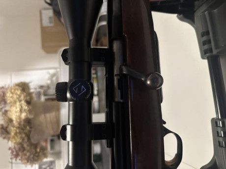Hola vendo el Browning acera battue cañon 51cm , CERROJO RECTILÍNEO, en 7mm Remington magnum !
Rifle que 21