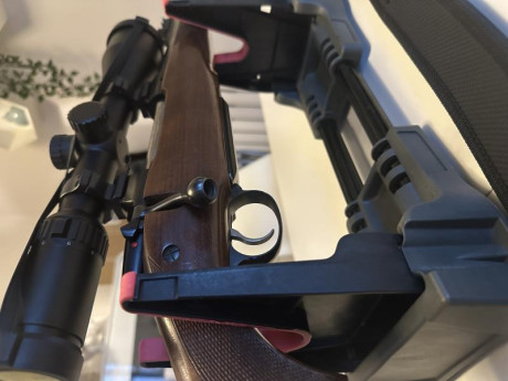 ES CZ 550 con alzas de 100m/200m/300m.
Visor y correa incluida.
Visor con retícula iluminada marca dall’s 01