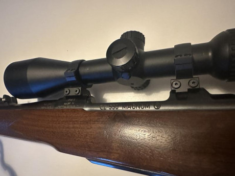 ES CZ 550 con alzas de 100m/200m/300m.
Visor y correa incluida.
Visor con retícula iluminada marca dall’s 11