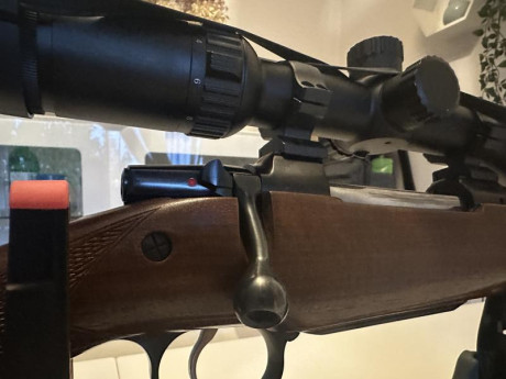 ES CZ 550 con alzas de 100m/200m/300m.
Visor y correa incluida.
Visor con retícula iluminada marca dall’s 22