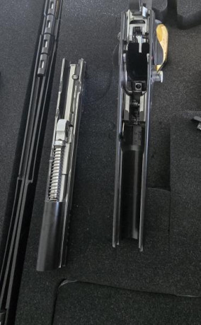 Vendo todas mis armas: walther q5 modelo expert y tanfoglio stock 3 xtreme... ambas en perfectas condiciones, 22