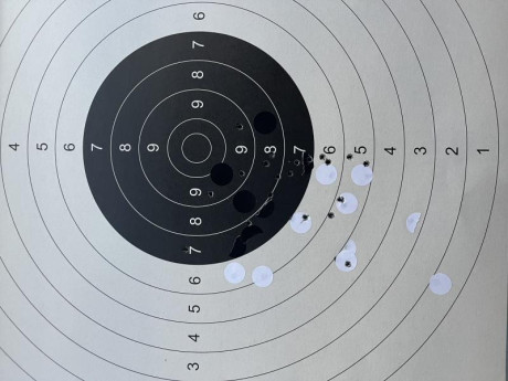 Una consulta camaradas en armas, tengo el rifle antes mencionado pero el detalles es que aún teniendo 110