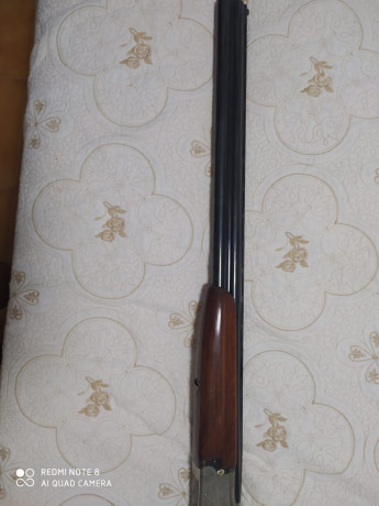 Cambio super pusta por repetdora .parralela o rifle de 22
Se trata de una laurona de caza con 71 de cañon 12