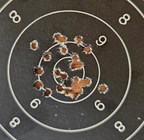 Hola amigos, estoy leyendo mucho pero por separado de nuestras queridas CZ | Brno del .22LR. Se podría 140