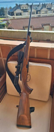 :Zeb: Buenos días. Un amigo vende un rifle Steyr Mannlicher con visor Zeiss Diavari V 2'5-10x50 y monturas 00