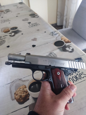 Vendo pistola  STI GUARDIAN, Bull Barrel.  9 mm Parabellum. Preciosa y precisa, apenas usada.

Precio 20