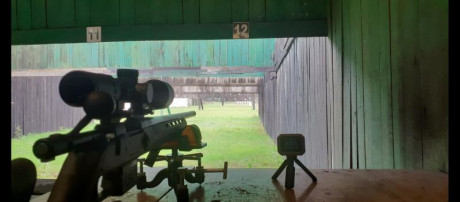 Soy novato en esto y estoy planteándome comprarme una carabina. Mi idea seria tirar a latas a 100-150m. 11