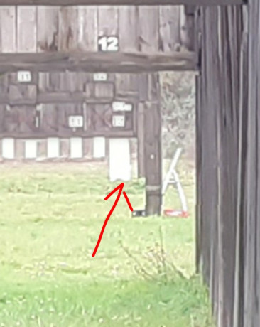 Soy novato en esto y estoy planteándome comprarme una carabina. Mi idea seria tirar a latas a 100-150m. 10