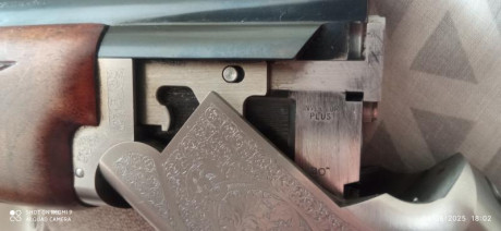 Buen día:
Pues veréis, estoy pensando en comprar dos choques invector plus de 1 y 2 estrellas,la duda 00