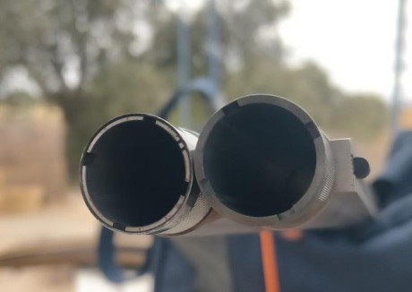 Buen día:
Pues veréis, estoy pensando en comprar dos choques invector plus de 1 y 2 estrellas,la duda 90