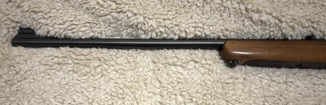 Vendo carabina Anschutz 520 en buen estado, la vendo por que no la estoy usando, va con un cargador y 12
