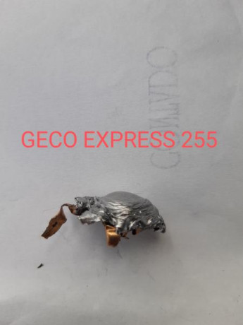 Finalmente como pongo en mi otro hilo me decante por el 9,3x62. Mi duda viene ahora con la municion. He 50