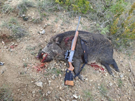 Buenos días, Quisiera Cambiar un Browning Bar 2 del 3006, Cañon del 56cm y 2 Cargadores con Bases Apel, 21