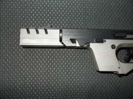 Hola a tod@s,
vendo pistola Walther GSP expert, que voy a decir de este arma que no se sepa ya, esta en 00