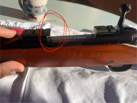 Buenas tardes compañeros, tengo un modelo 70, post 64, en calibre 270 win, un riflazo aunque no sea “pre”. 20
