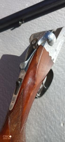 Vendo por no usarla, escopeta paralela calibre 12. 
Cañón 70cm, doble gatillo, expulsora, cañón 1 y 3 11
