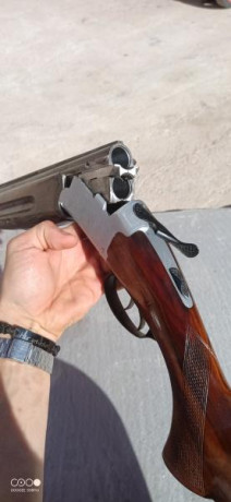 Por falta de uso vendo está escopeta Superpuesta calibre 12 de Asencio Zabala.
Cañón de 71cm, 1 y 3*, 00