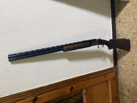 Pongo en venta una escopeta de foso marca Eduard Kettner perfecta de ajustes y en muy buen estado estético.

Características:

* 02