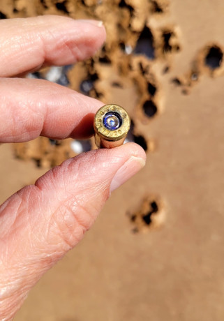 Soy novato en esto y estoy planteándome comprarme una carabina. Mi idea seria tirar a latas a 100-150m. 40