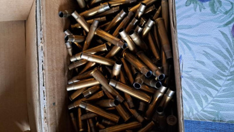 174 vainaa del calibre 303 britosh de la marca pmp sudsfricana ,un solo disparo.
64 vainas Norma 1 disparo
60 02