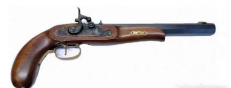 Hola. Tengo una Davy Crockett del 32 apenas estrenada y prefiero cambiarla por la Pioneer que es del 45. 00