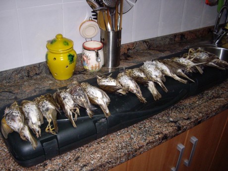 Bueno hoy ya se ha terminado, reunión, buena comida (arroz a banda), buen vino, buenos cubatas -ha faltado 00