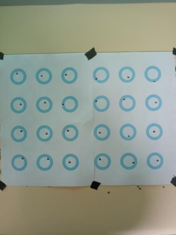 Buenos días tiradores,

Hace poco me hice con una Winchester Wildcat calibre 22LR que incluía un cargador 01