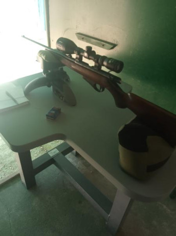 Buenos días tiradores,

Hace poco me hice con una Winchester Wildcat calibre 22LR que incluía un cargador 00