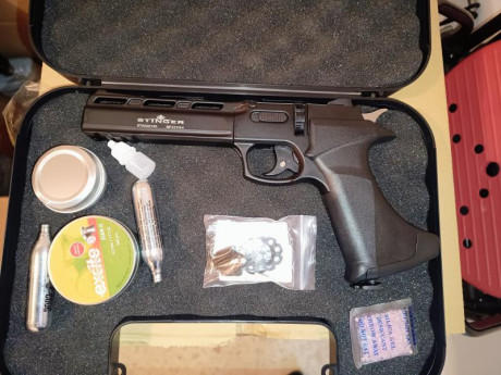 Pistola accionada por CO2. Cuenta con cañón de acero extriado y utiliza munición tipo "diábolo", 02