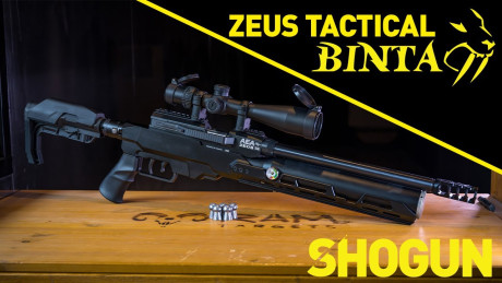 Buenas noches. Estoy por comprar mi primera carabina y necesito algo de ayuda. He leído bastantes post 60