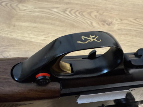 Hola.

Vendo rifle de corredera Browning Dualis del 308 

El estado es bueno, con lógicas marcas de uso 00