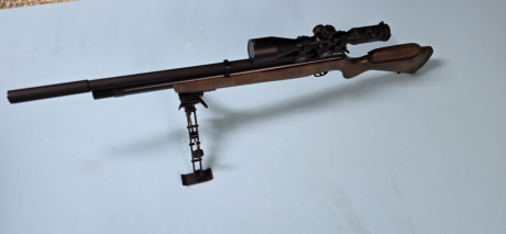 he visto un vídeo en youtube de la cometa lynx 300, y la ponen como una maravilla incluso mejor que muchas 61