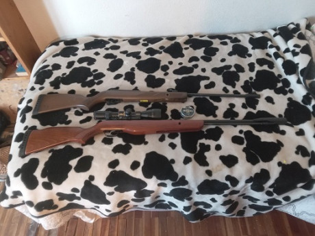 GAMO HUNTER 440 CALIBRE 6.35 2024

Tras quince largos años en los que, por imperativo legal dadas las 00