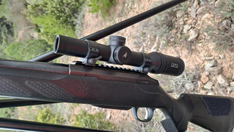 Buenas 
Pues buscando visor para el nuevo hierro y yendo decido a por el delta titanium me han enseñado 31