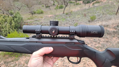 Buenas 
Pues buscando visor para el nuevo hierro y yendo decido a por el delta titanium me han enseñado 30