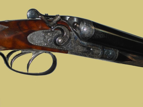 Busco paralela de perrillos, estoy dispuesto a ofrecer un buen dinero dependiendo de la marca, gama, estado 60