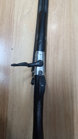 Busco paralela de perrillos, estoy dispuesto a ofrecer un buen dinero dependiendo de la marca, gama, estado 101