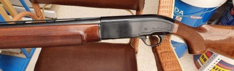 Vendo escopeta Saut Beretta A 303, arma impecable, no cazo, y nunca se ha cazado con ella, usada 2 o 3 00