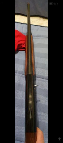 Vendo escopeta Saut Beretta A 303, arma impecable, no cazo, y nunca se ha cazado con ella, usada 2 o 3 21